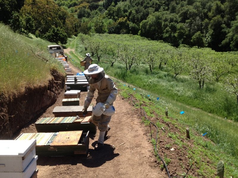 Organic Farm Management