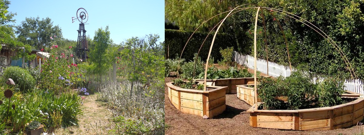 Residential Landscape Design